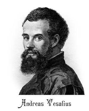 Andreas Vesalius